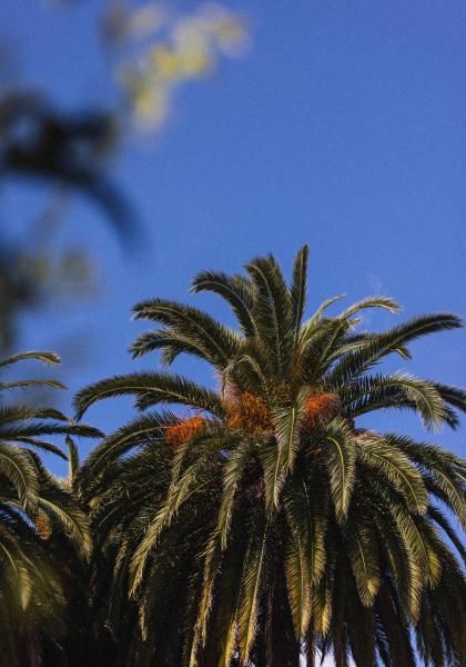 La Villa Cap d'Antibes - Temperature standards